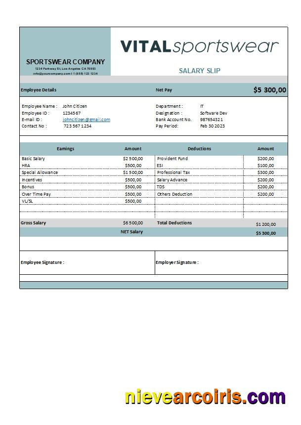 sportswear company earning statement